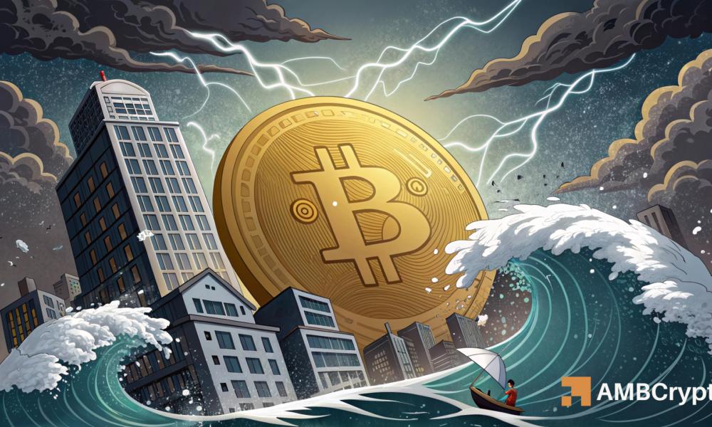 随着比特币的兴起,投资偏好逐渐转向股票——这一趋势不容忽视