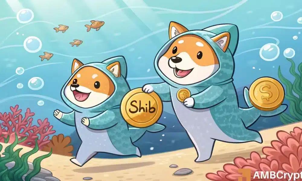 柴犬数量下降20%,鲸鱼数量激增——SHIB是否会复苏?