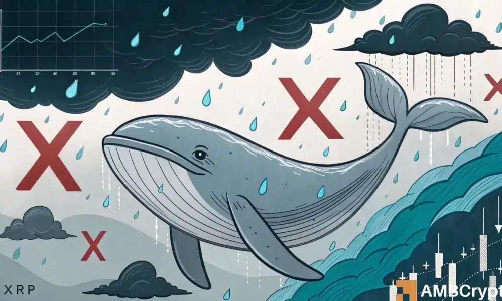分析 XRP 的四日跌势：鲸鱼撤退，是否是散户介入时机？