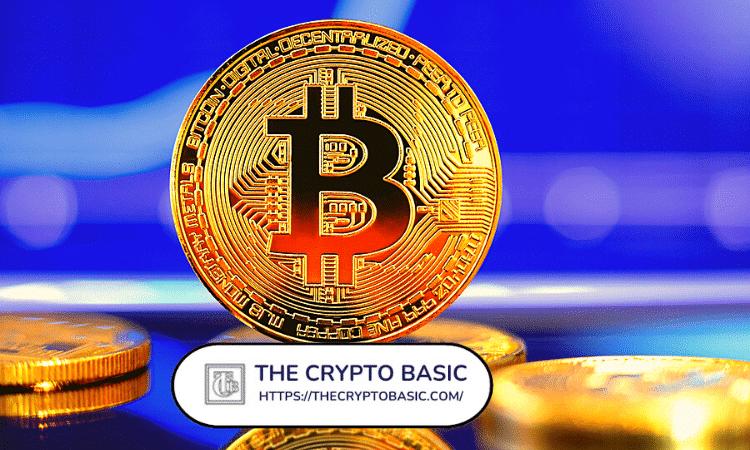 VanEck发出警告:比特币策略公司面临风险,资产净值平价即将到来