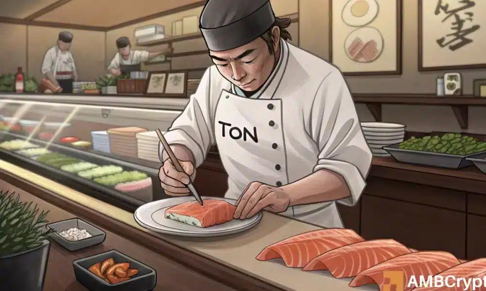 一个钱包，8.63亿TON：探索巨鲸对Toncoin的策略