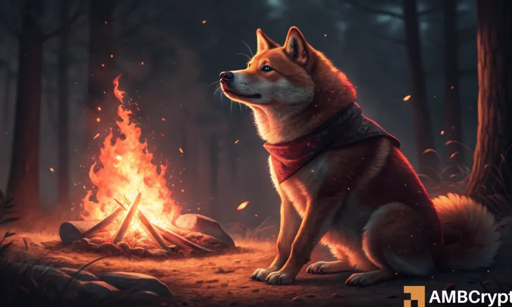 The explosive growth of Shiba Inu\