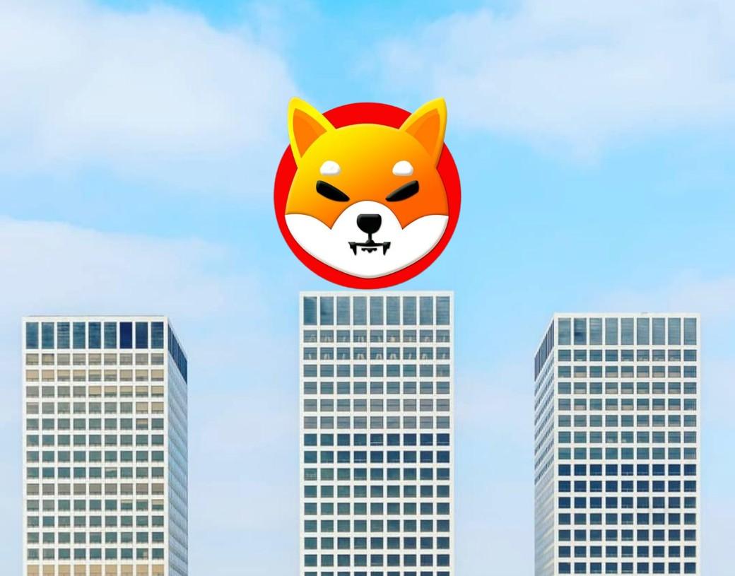 柴犬今日涨势大涨：是否值得考虑购买？