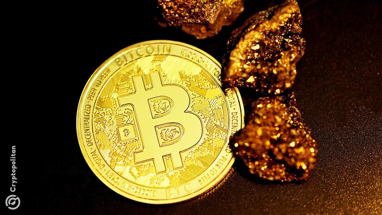 CKpool推出低延迟矿池，单人矿工赢得3.175 BTC。