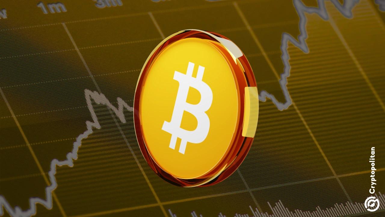 俄罗斯央行报告:俄罗斯人购买比特币期货达1600万美元