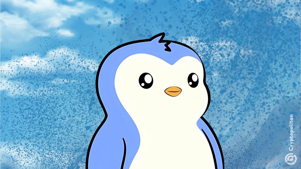 Coinbase Launches Pudgy Penguins PFP Craze, PENGU Price Surges Over 30%