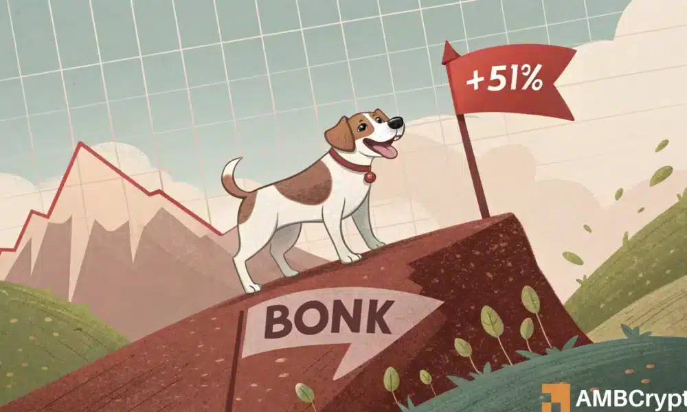 BONK News: Why Short-Term Declines Won\