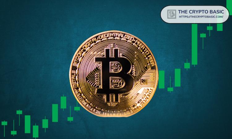 专家预测：比特币下一次涨幅将达到95%，价格将达到220,000美元