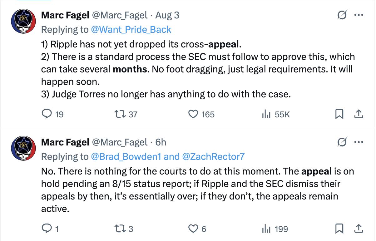 专家表示: XRP 价格仍未反映SEC对Ripple案的结论