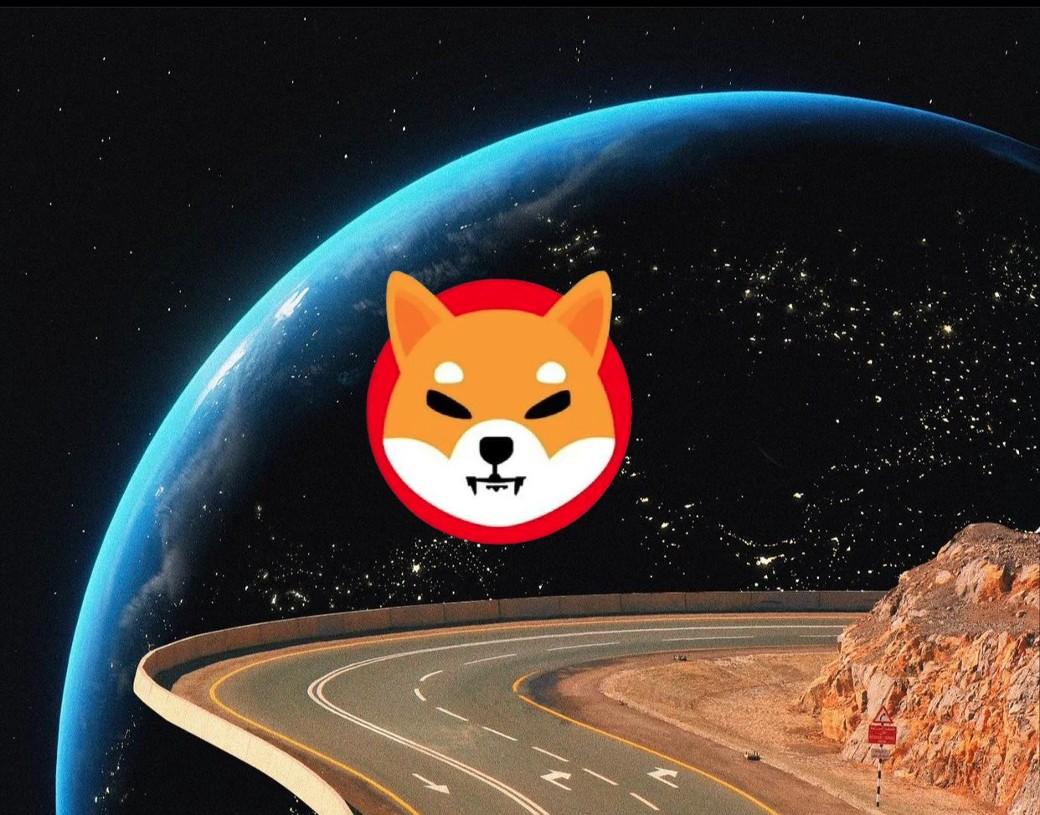 为什么你应该立即入手一只可爱的柴犬